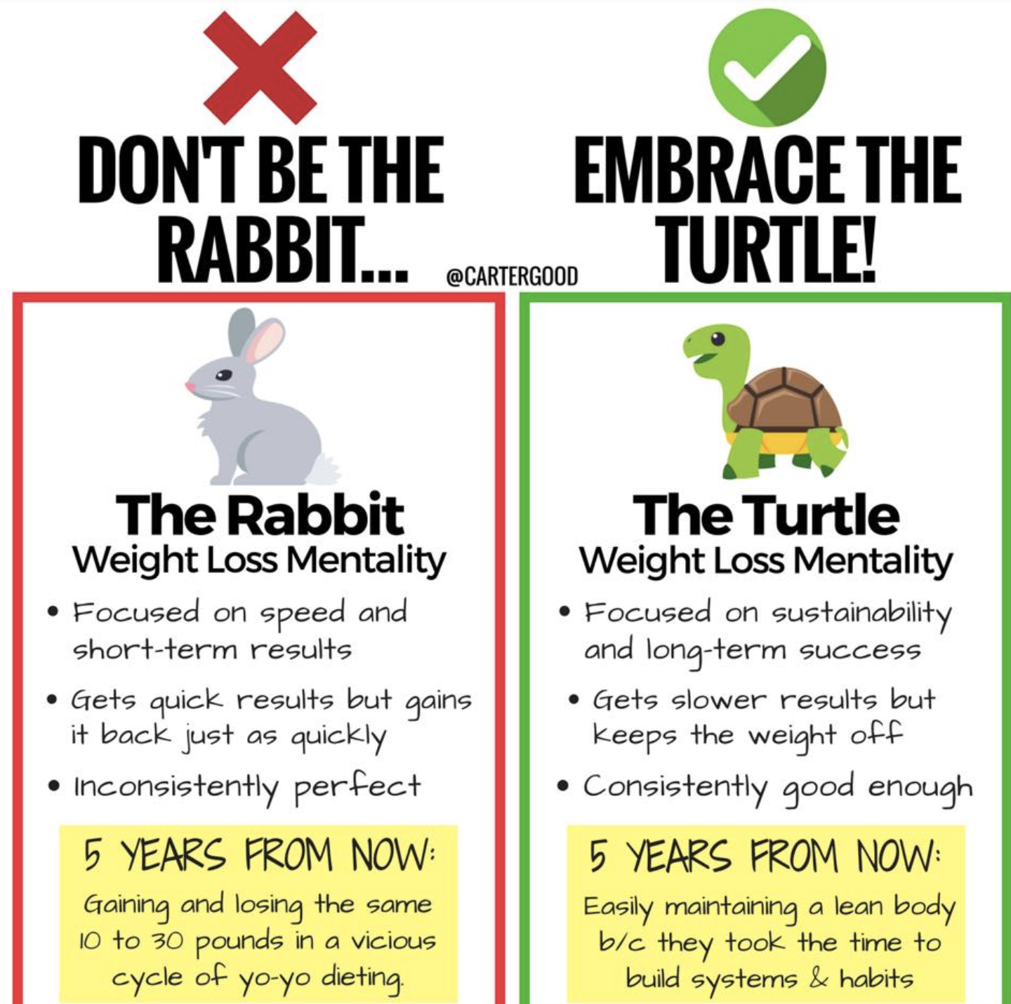 Psikoloji Savaşları – Turtle Mindset